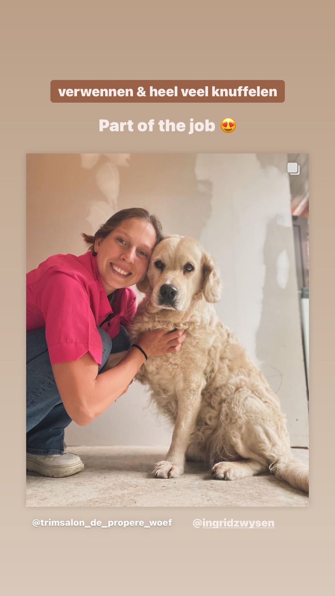 Hond wassen en verzorgen bij Trimsalon De Propere Woef